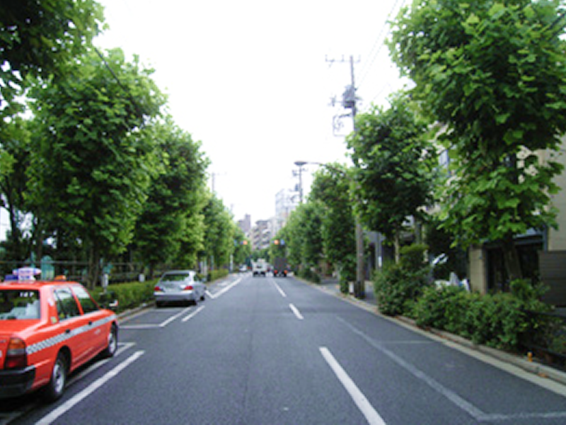 平成20年6月　夏期剪定委託（六の4）01