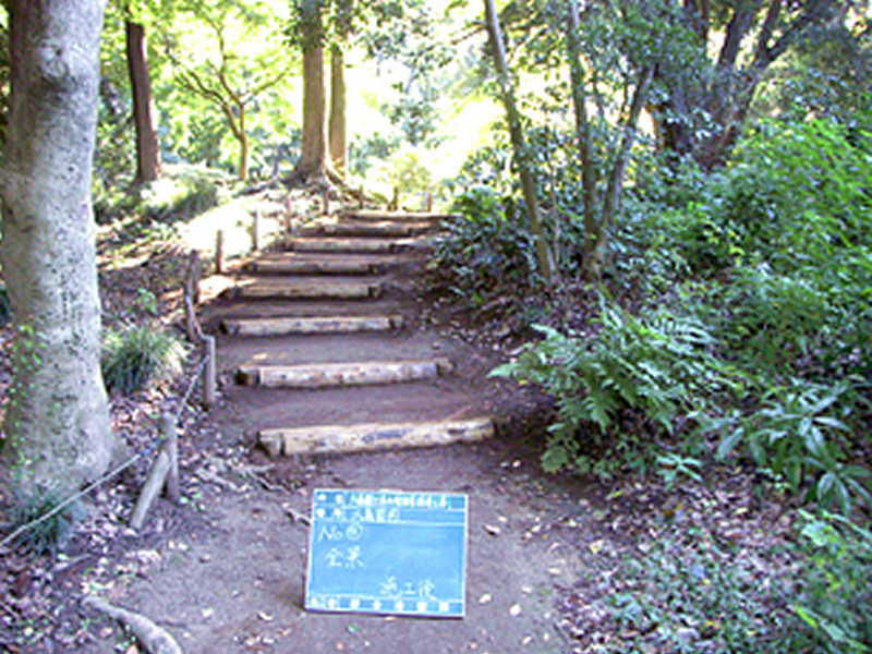 平成20年9月　六義園土居木階段等補修工事02