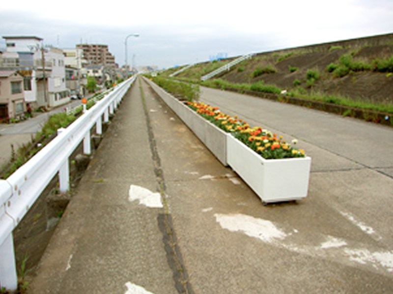 平成21年2月　低木補植工事02
