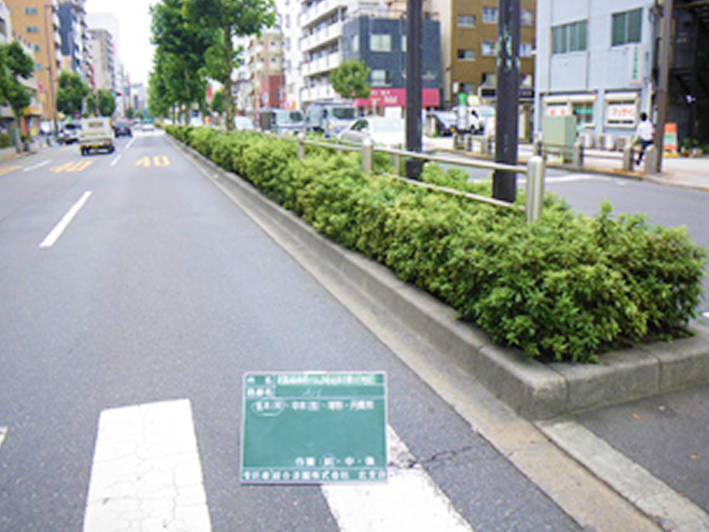 平成21年6月　街路植樹帯刈込み委託（赤羽東・王子地区）01