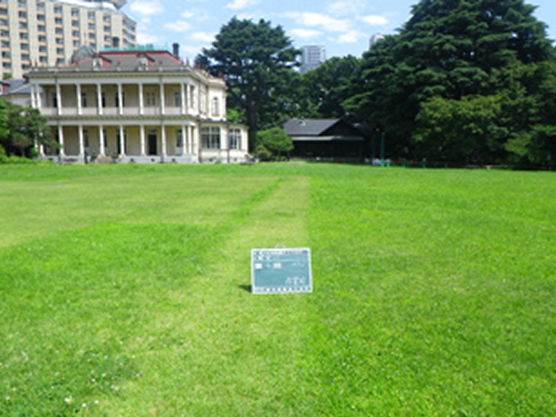 平成24年4月　旧岩崎邸庭園草刈作業委託01